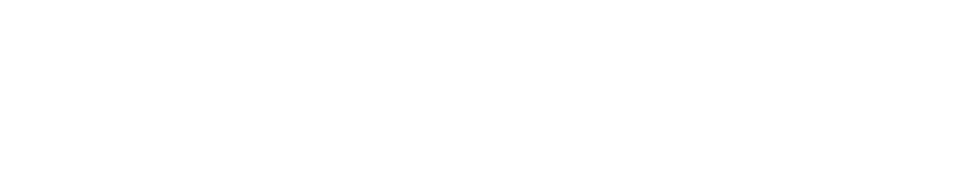 Einfach AI